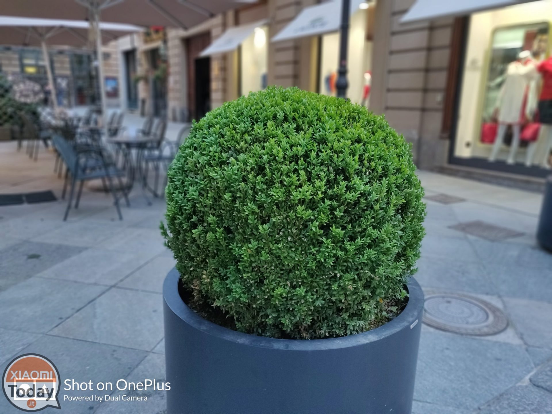 OnePlus 6