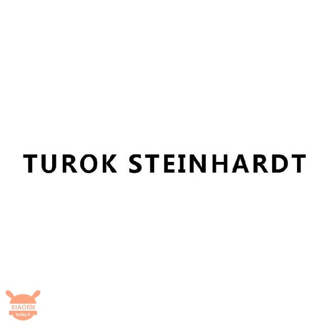 Turok Steinhardt