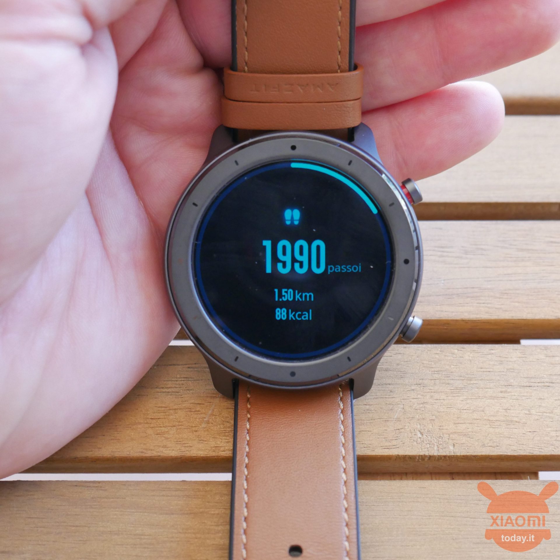 Amazfit Verge GTR की समीक्षा