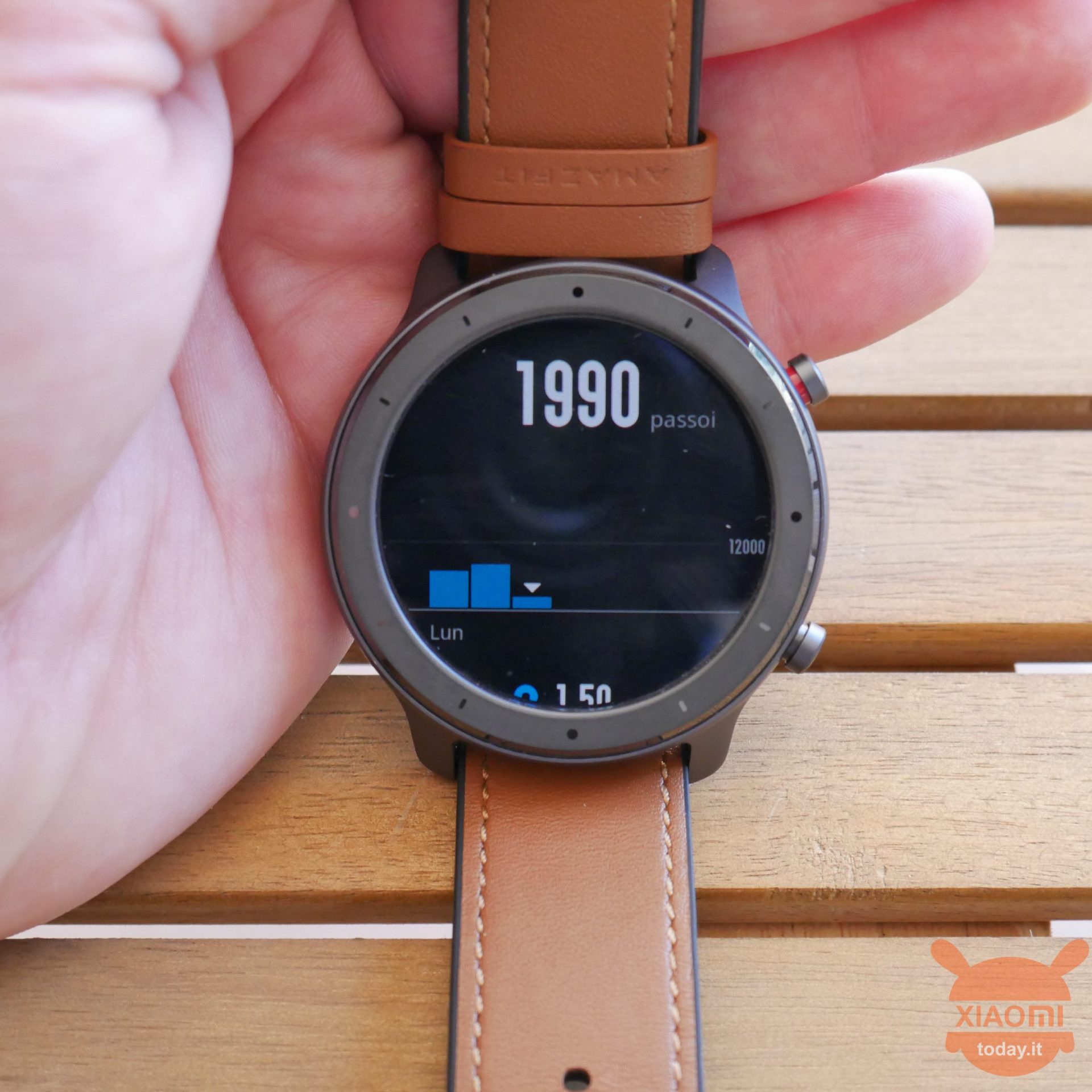 Amazfit Verge GTR की समीक्षा