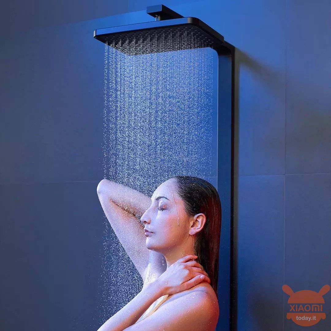 Diiib Shower System