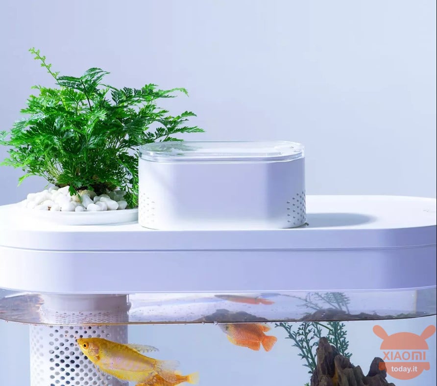 Geometry Smart Fish Tank Pro: Il nuovo acquario super smart ed economico