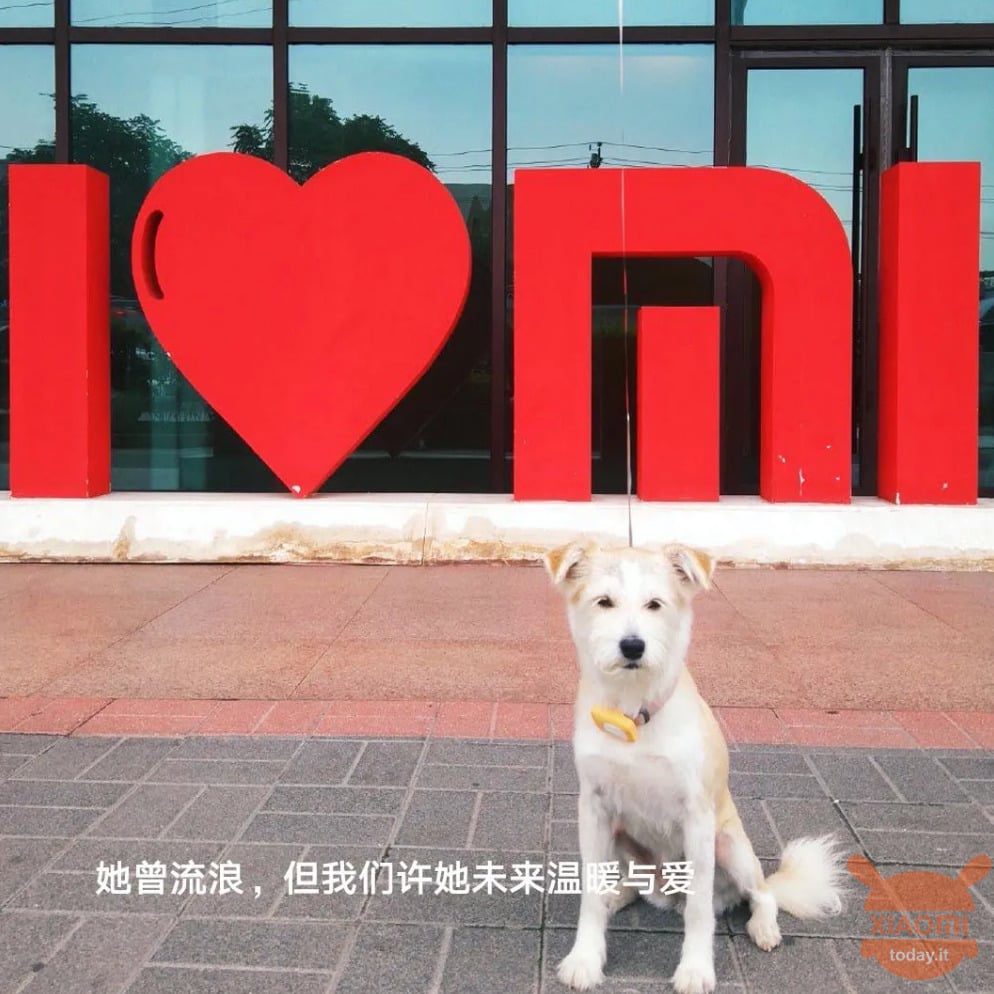 Xiaomi Wangcai Hundemaskottchen