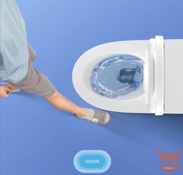 Small Whale Wash Smart Toilet