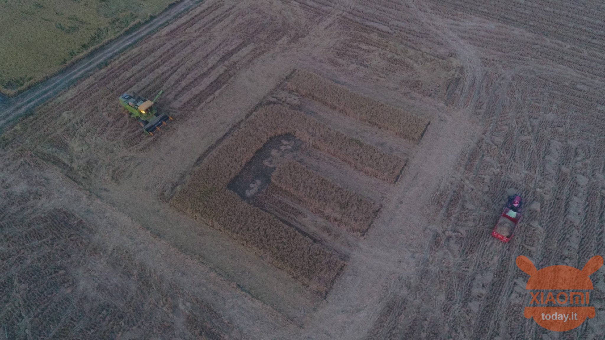 logotipo de xiaomi en los campos de trigo en la india