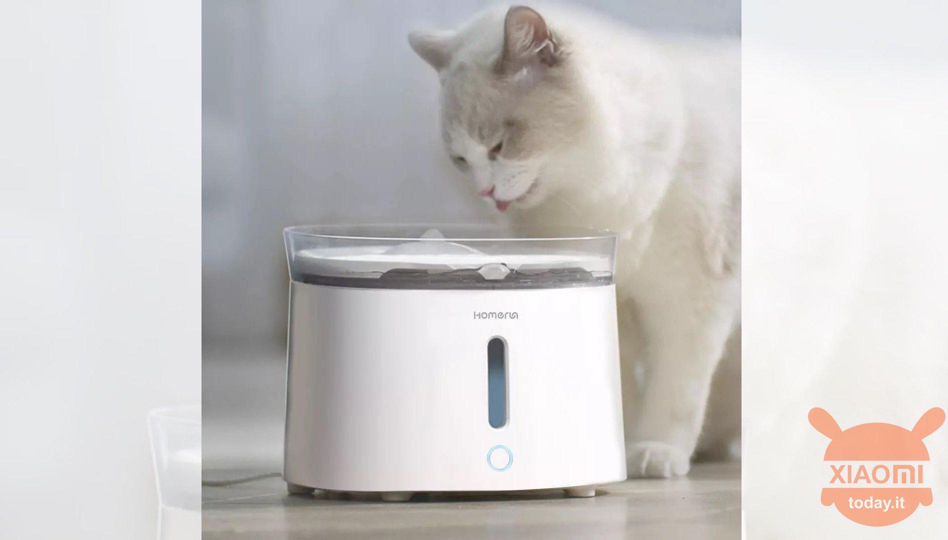 Distributeur d'eau pour animaux de compagnie Homen