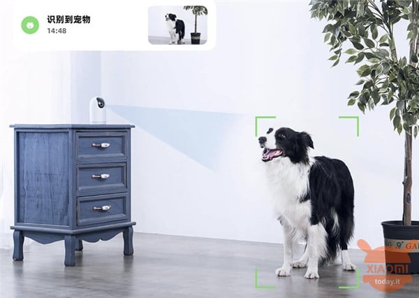 Xiaomi Smart Camera AI Discovery Edition