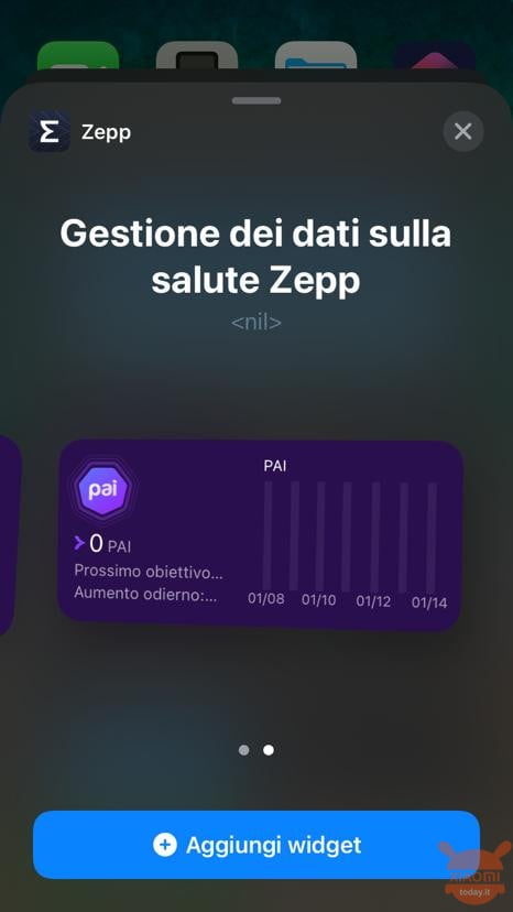 widget zepp su iphone