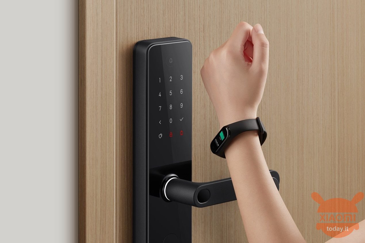 Xiaomi Smart Door Lock 1S