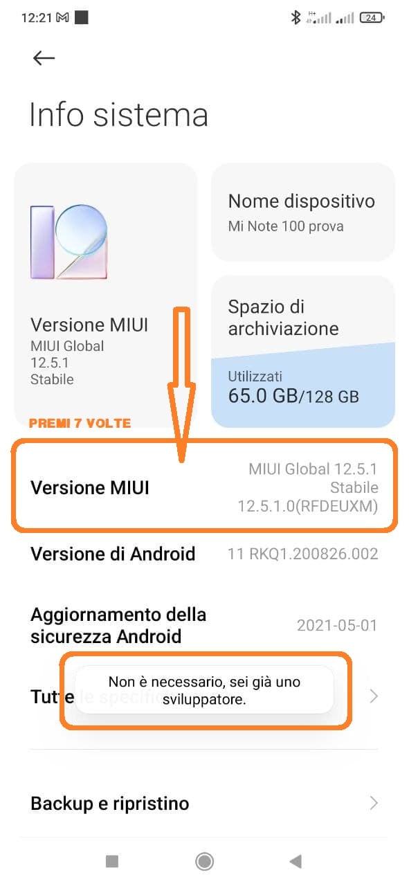 opzioni sviluppatore