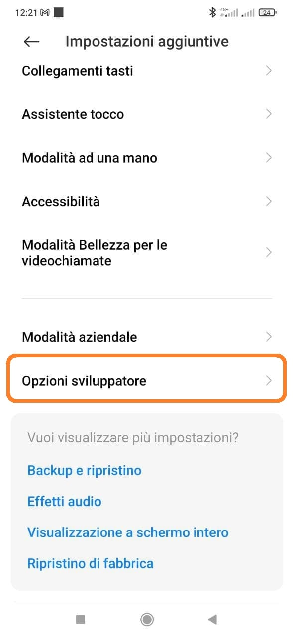 opzioni sviluppatore