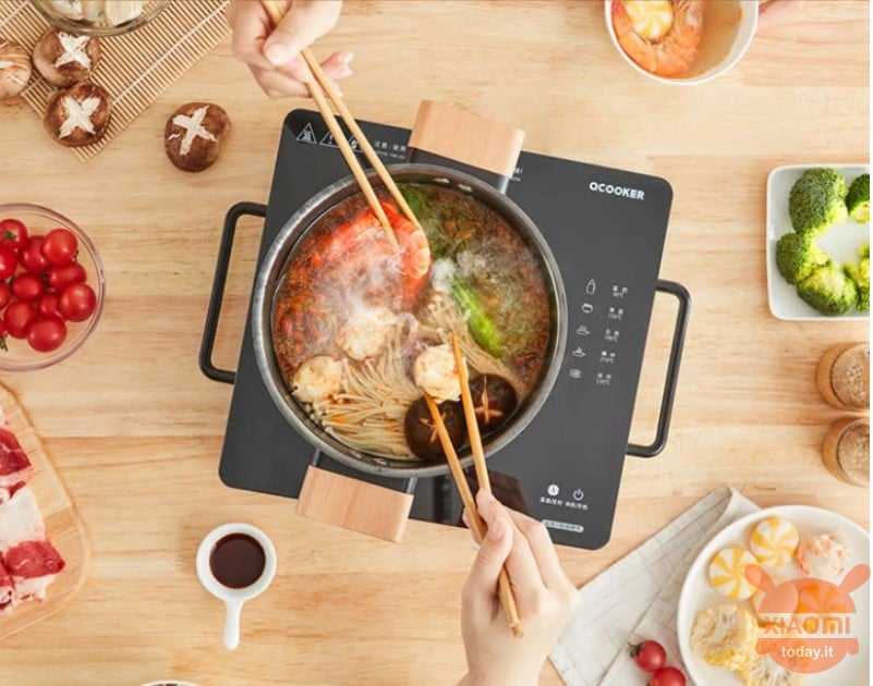 qcooker induction cooker