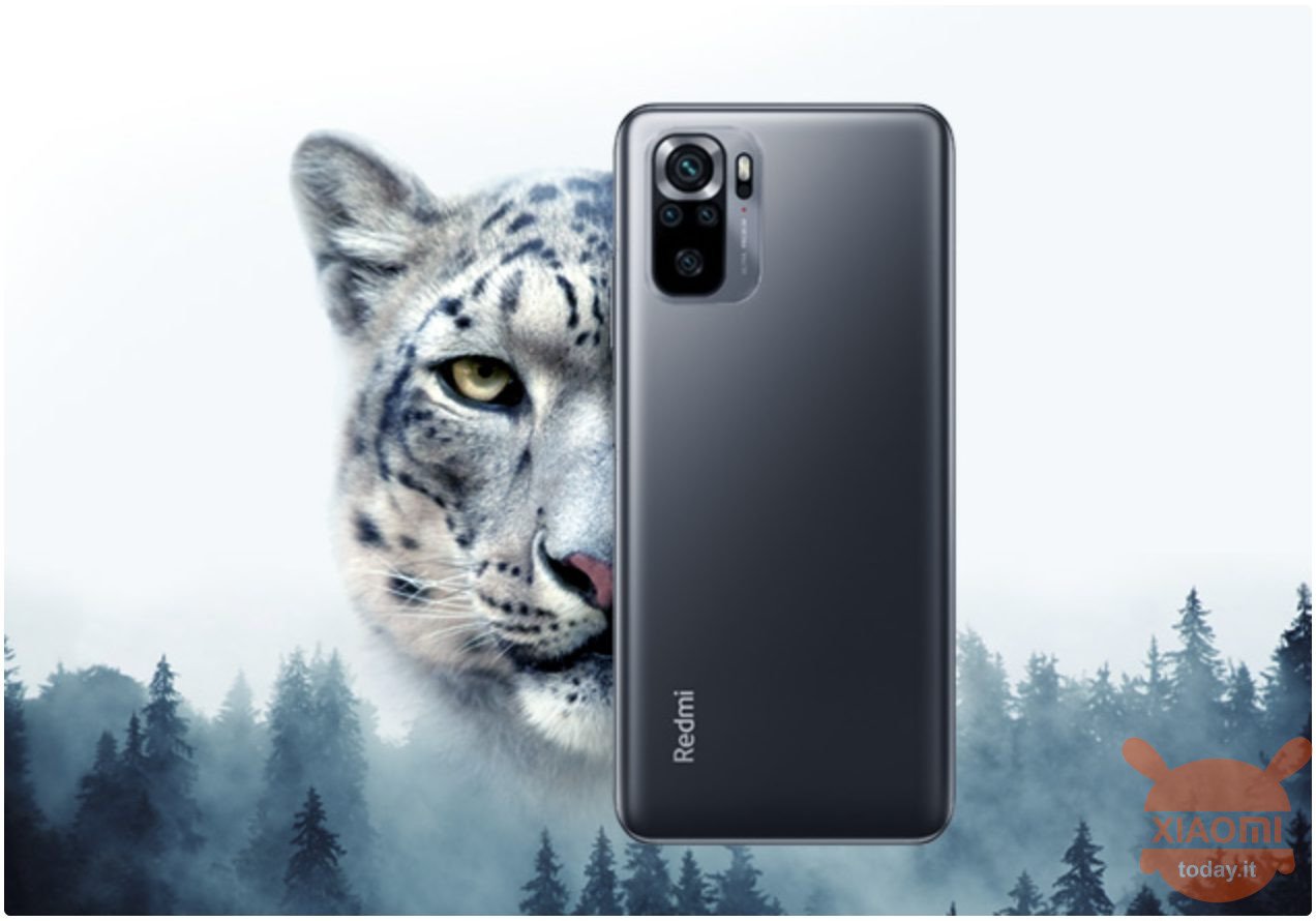 xiaomi e wwf insieme per salvare leopardo delle nevi