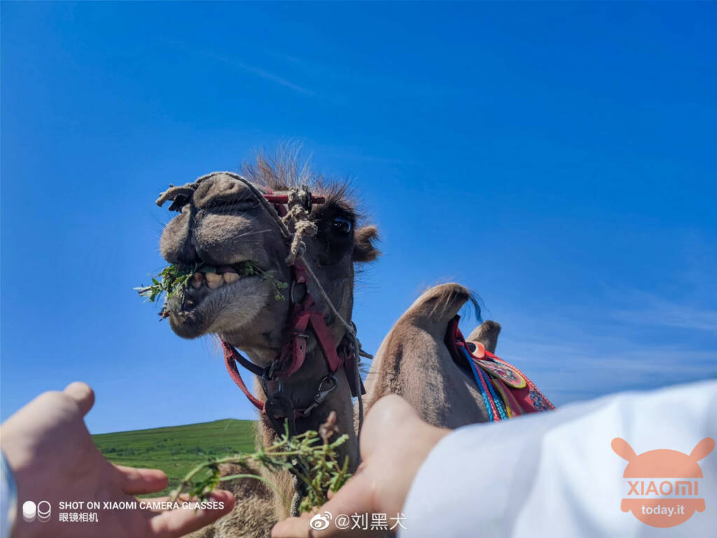 xiaomi mijia slim bril