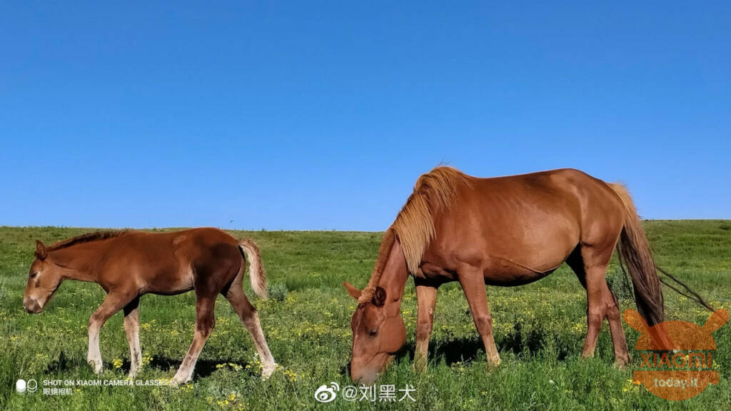 xiaomi mijia slim bril