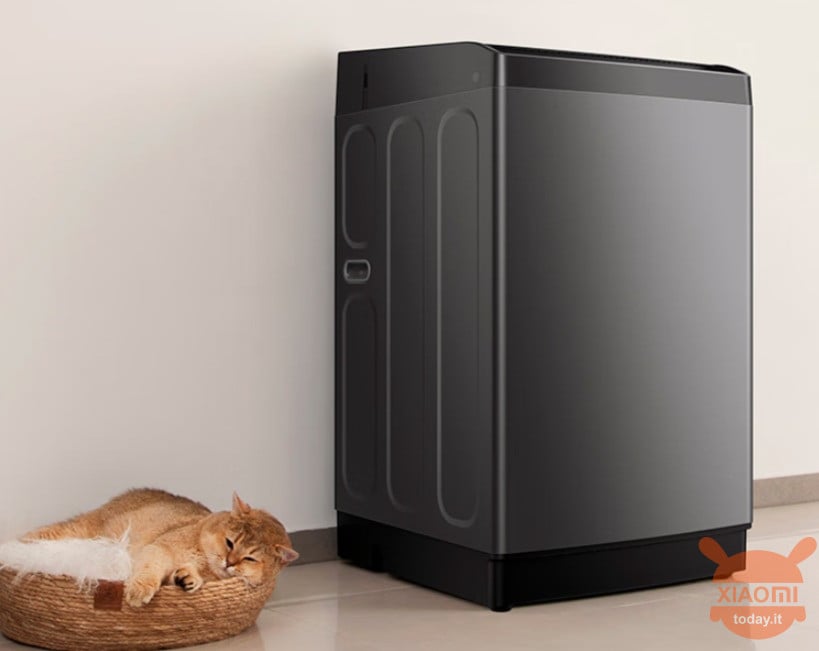 Xiaomi Mijia Pulsator Wasmachine 10Kg