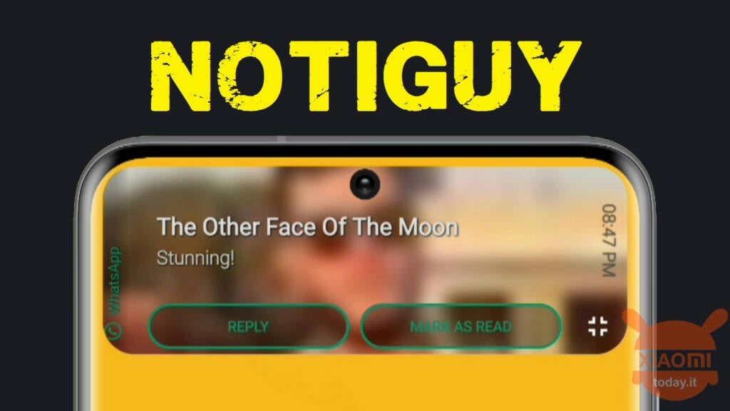 notoguy