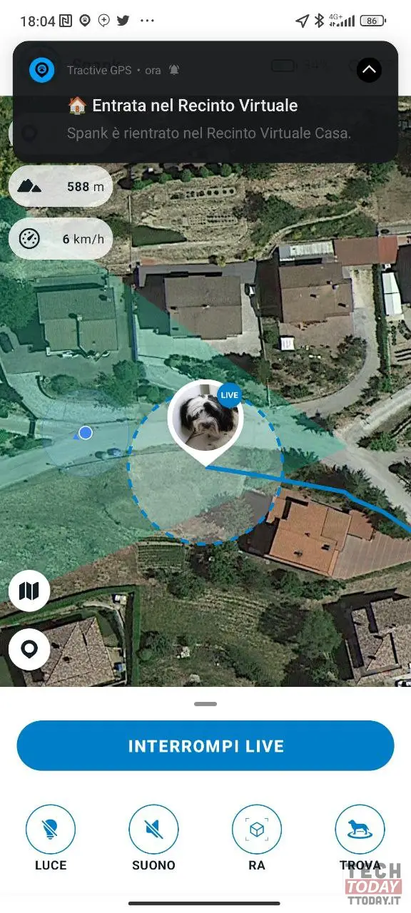Tractive collare gps