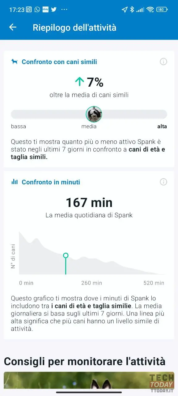 Monitoraggio Attività