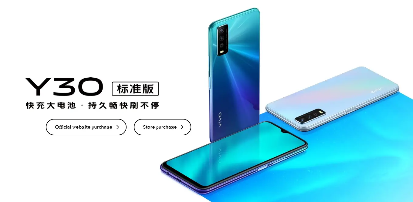 Vivo Y30 Édition Standard