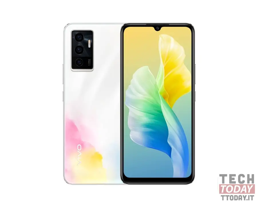 Vivo s10e