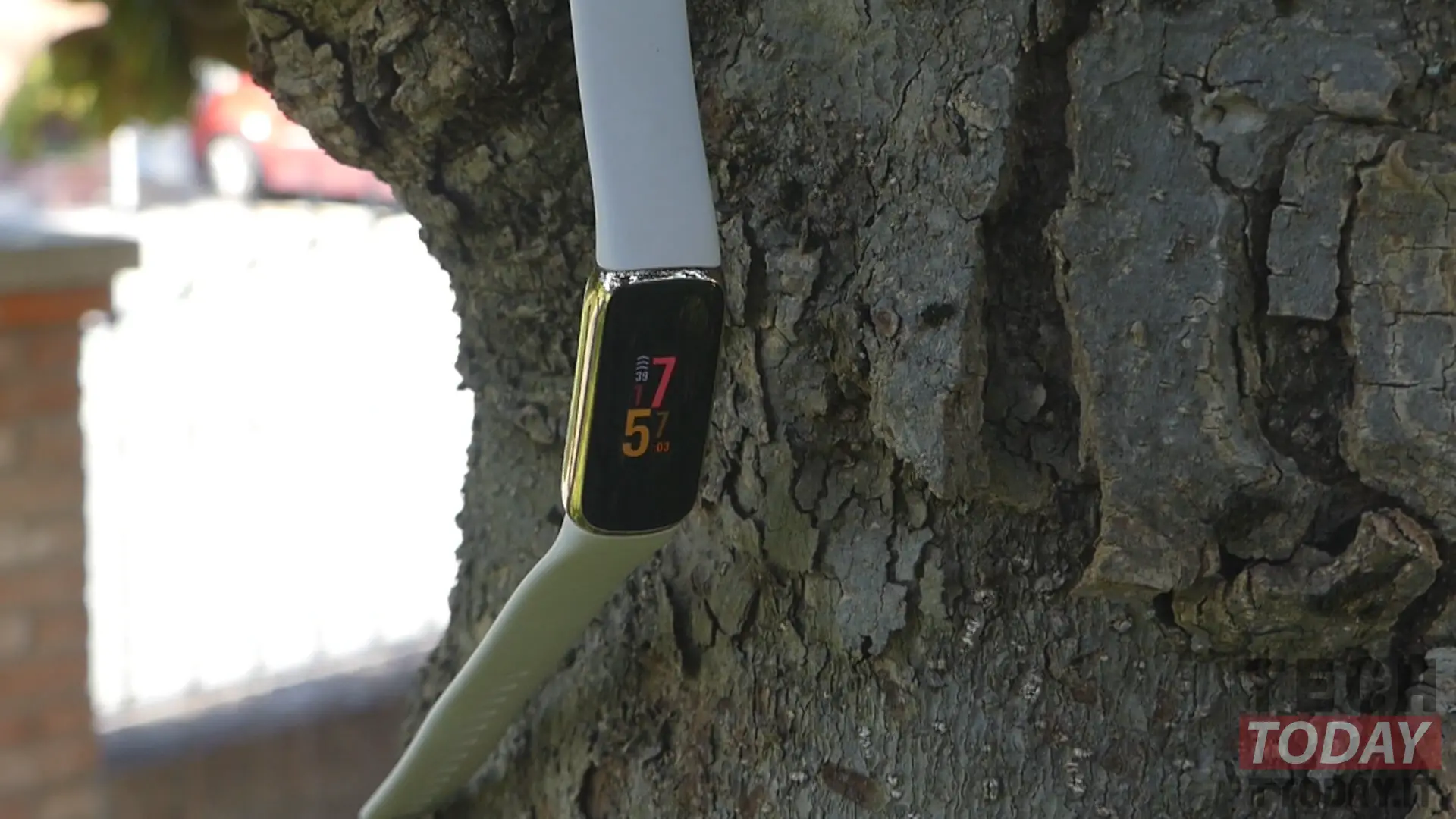 Fitbit luxe