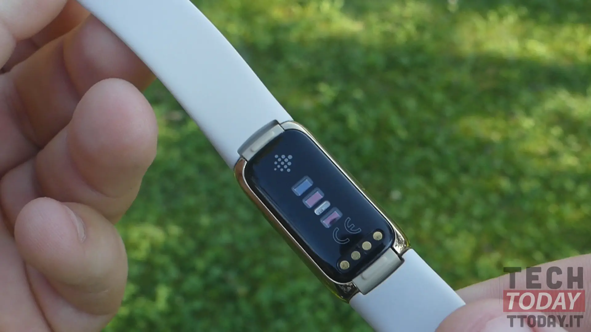 Fitbit luxe