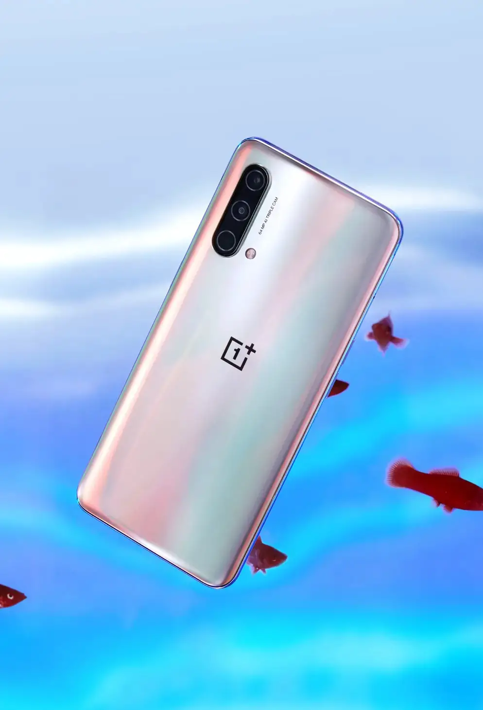 OnePlus North CE