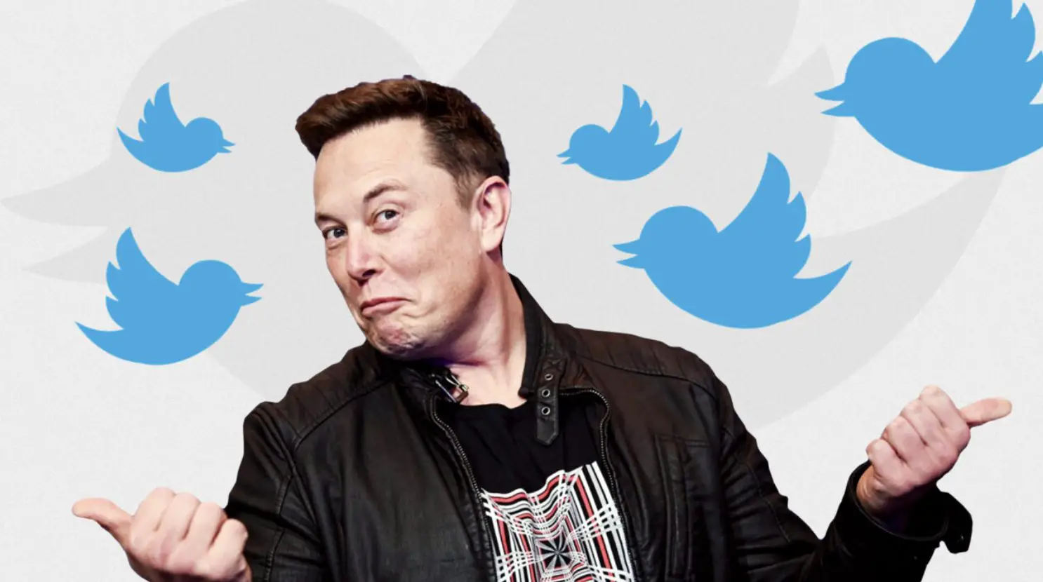 elon musk acquista twitter