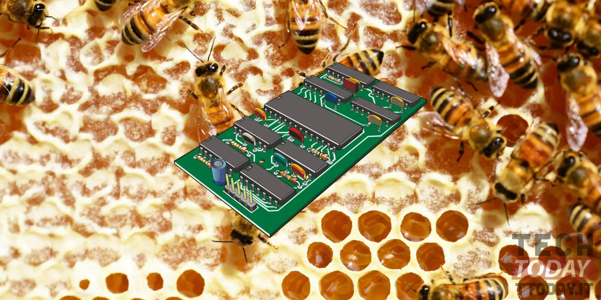 datorchips skapade av honung