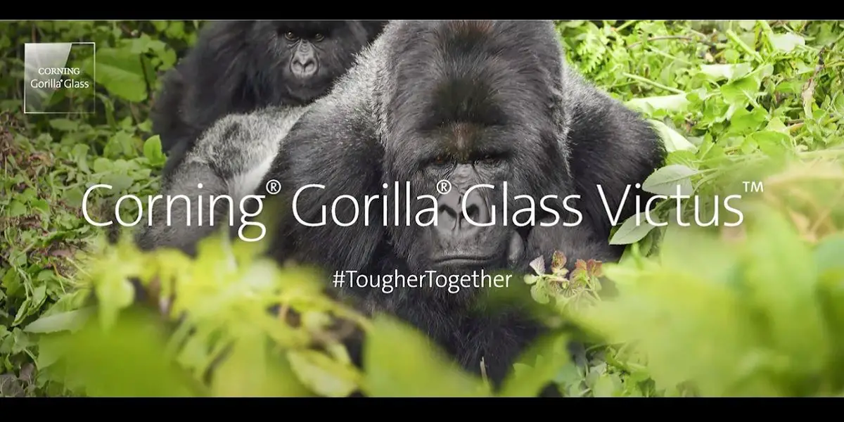 Gorilla-Glas