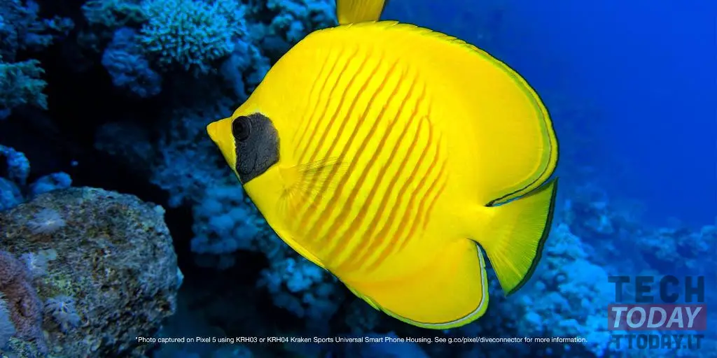 صور 5 بكسل تحت الماء