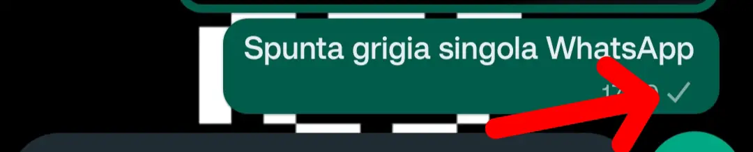 whatsapp non funziona: spunta grigia singola