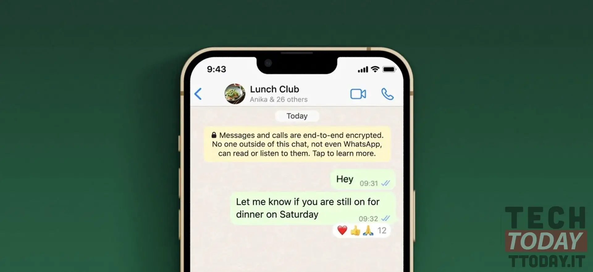 whatsapp introduce reazioni ai messaggi su android e ios