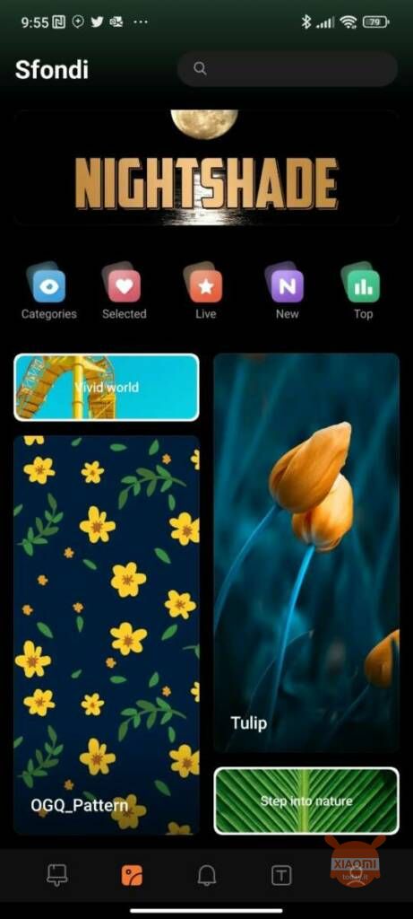 App HyperOS (ex MIUI) temi