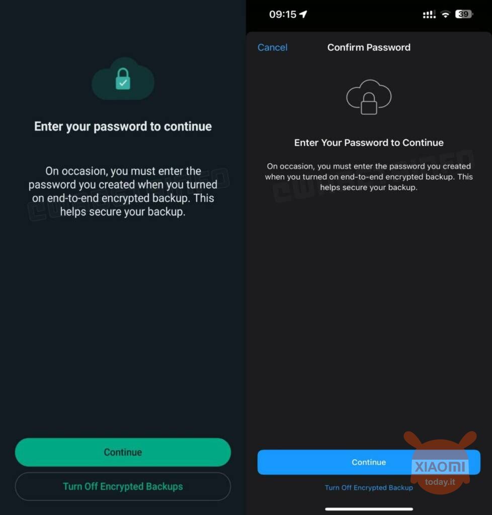 WhatsApp funzione promemoria password