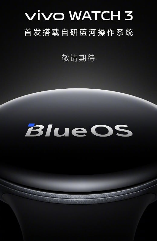 BlueOS vivo os per smartwatch