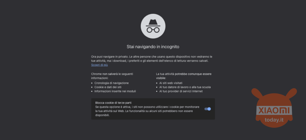 la finestra che appare quando si va in navigazione in incognito