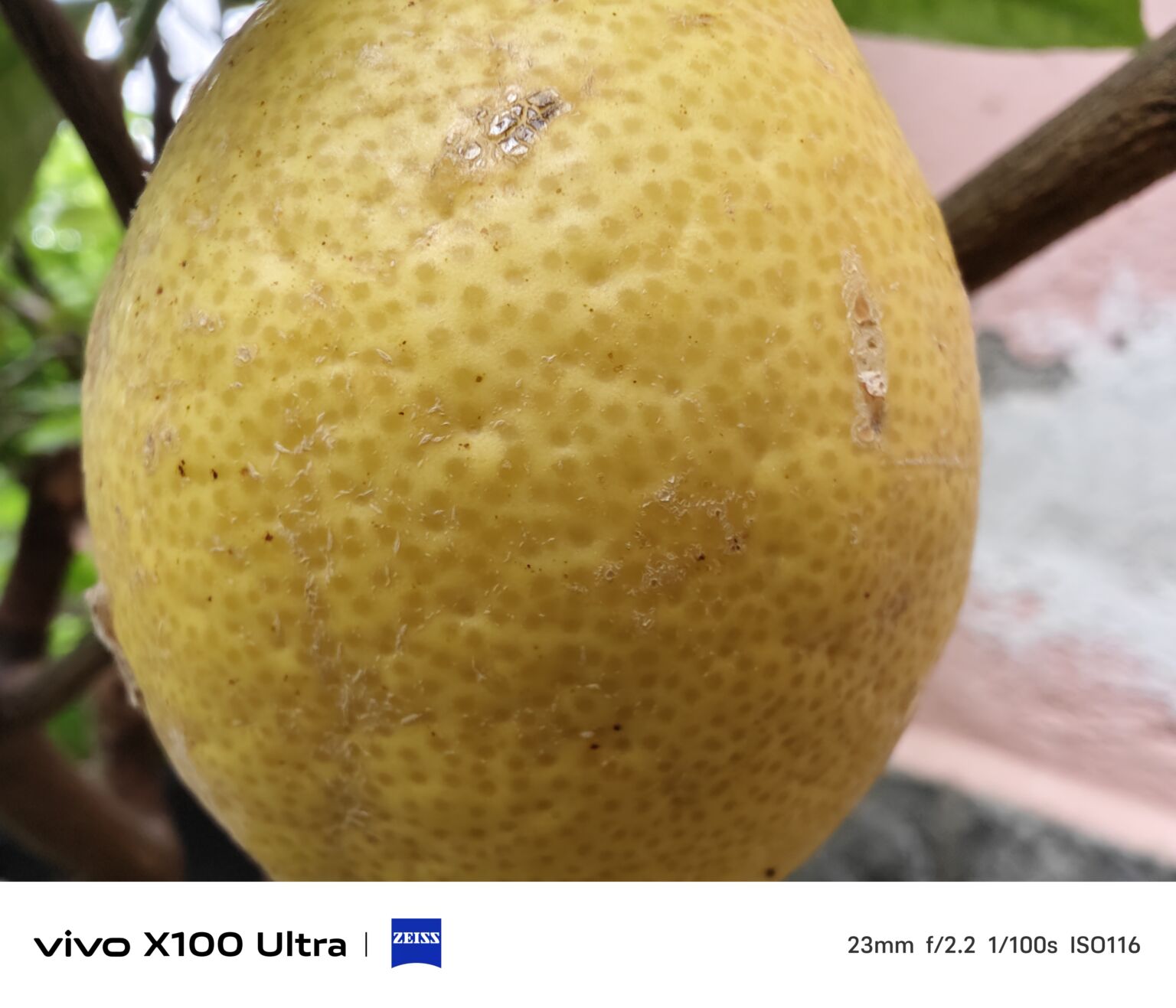VIVO X100 울트라