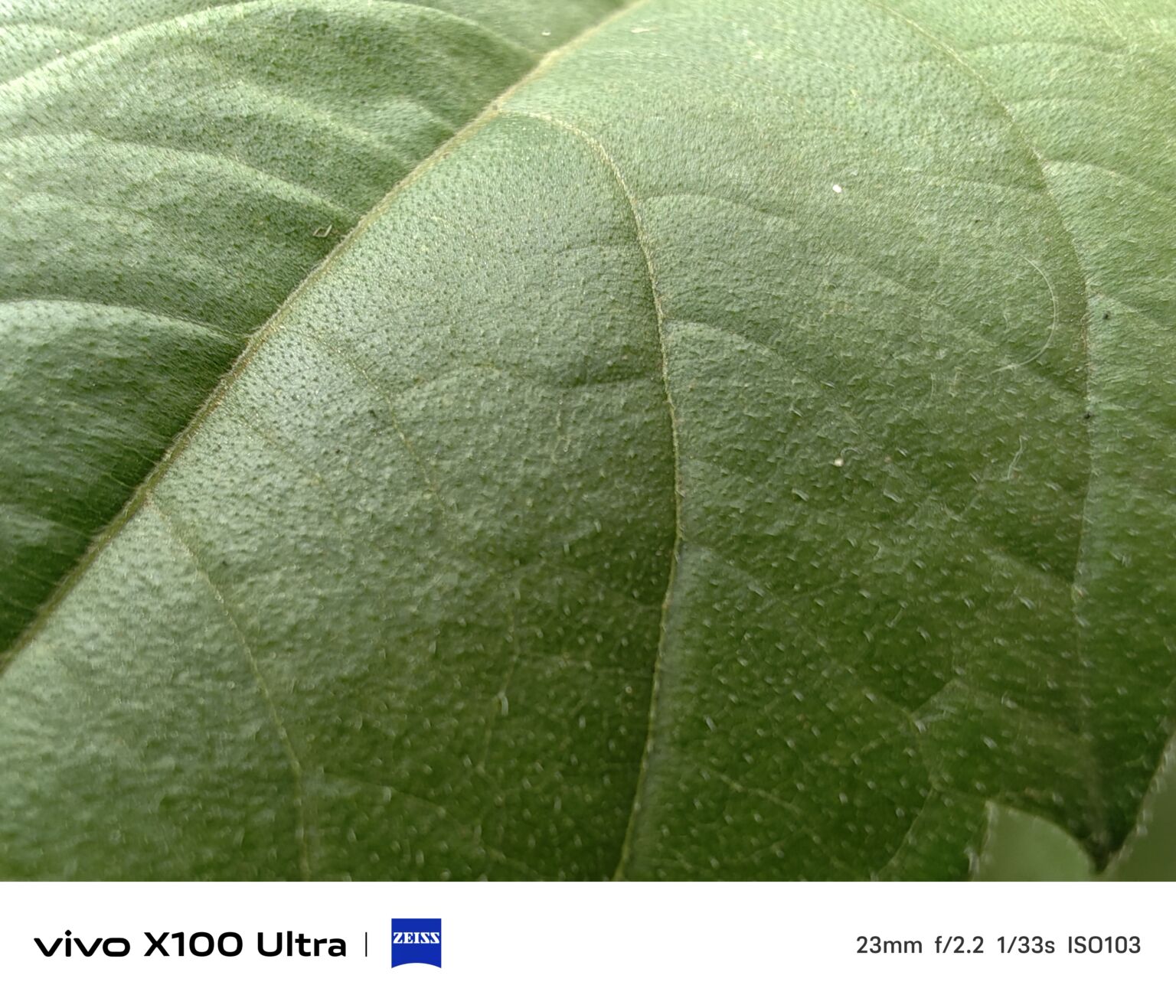 VIVO X100 울트라