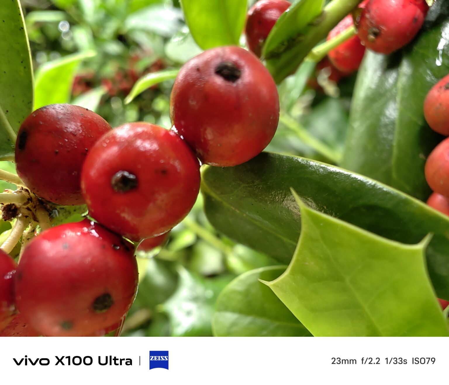 VIVO X100 울트라