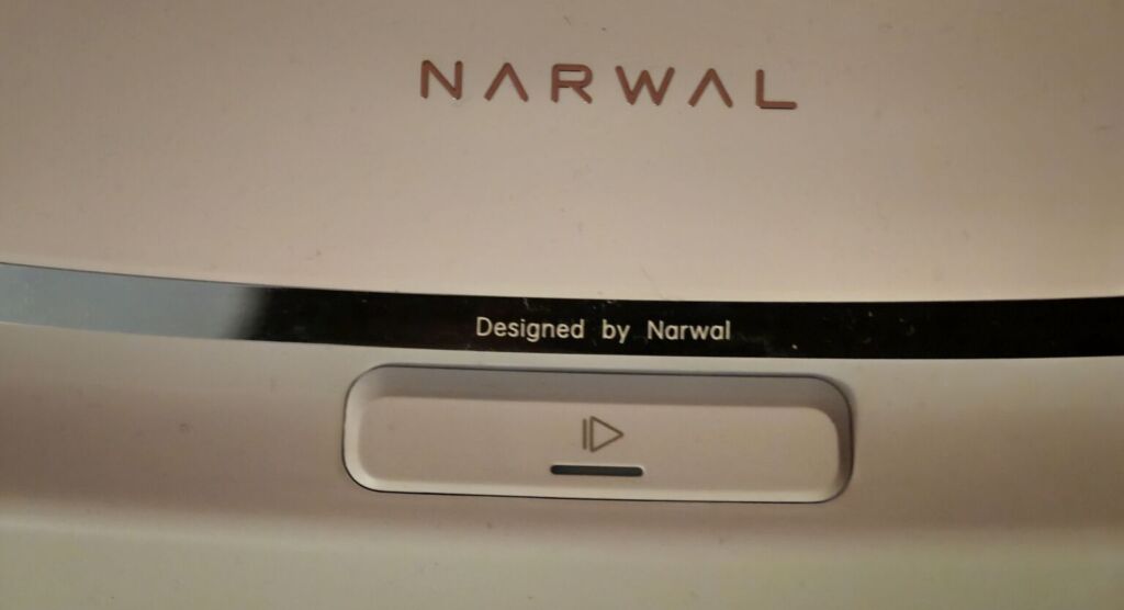 Нарваловый поток