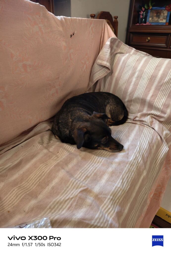 أنا أعيش X300 PRO