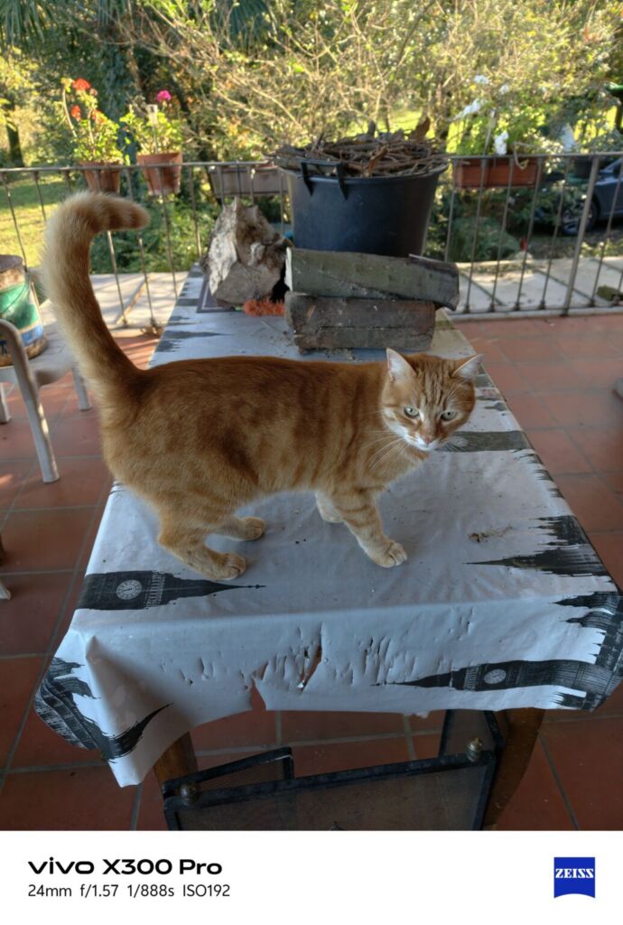 أنا أعيش X300 PRO