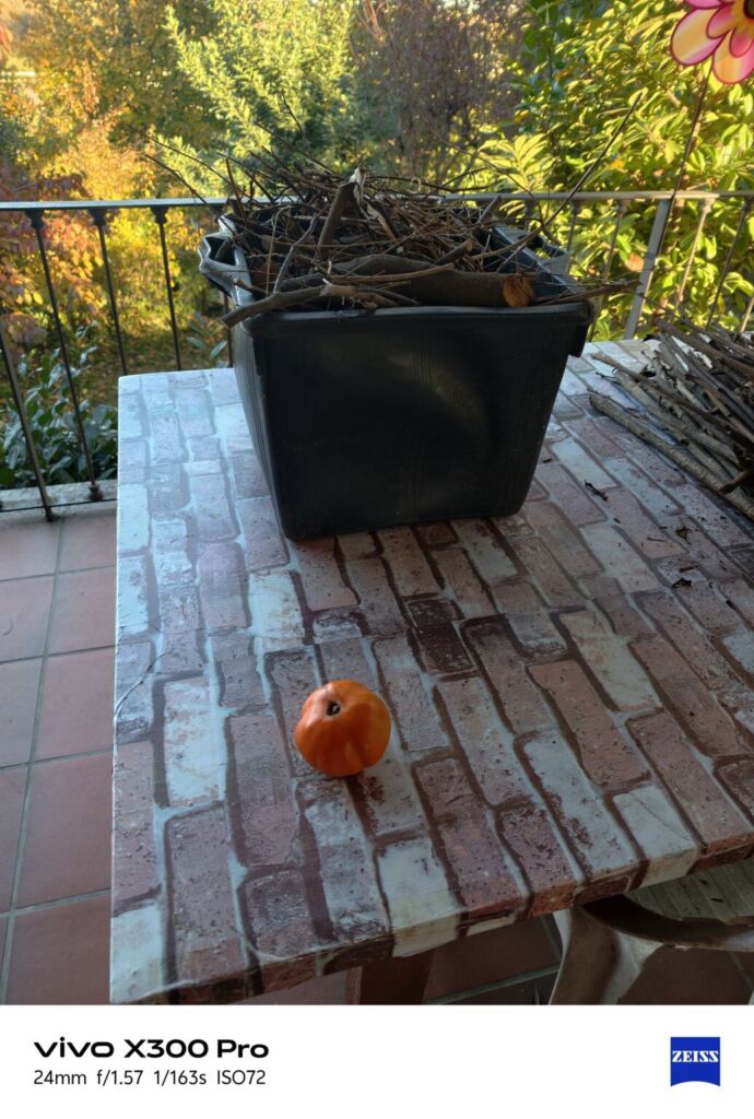 أنا أعيش X300 PRO