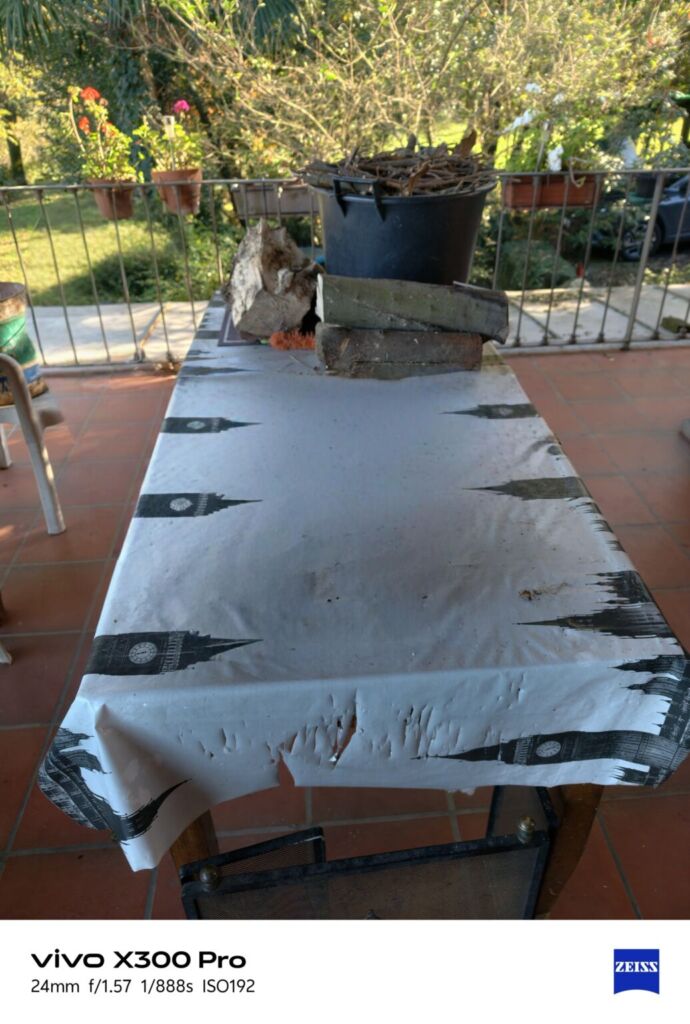 أنا أعيش X300 PRO