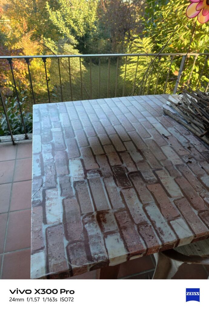 أنا أعيش X300 PRO