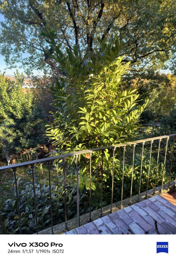 أنا أعيش X300 PRO