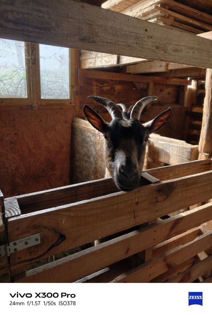 أنا أعيش X300 PRO