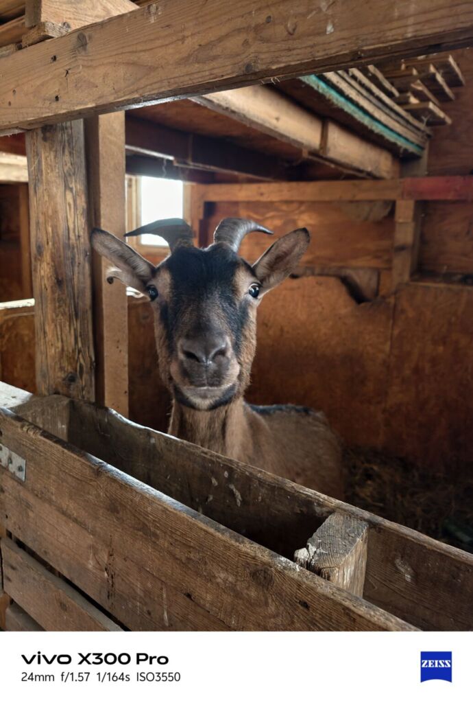 أنا أعيش X300 PRO